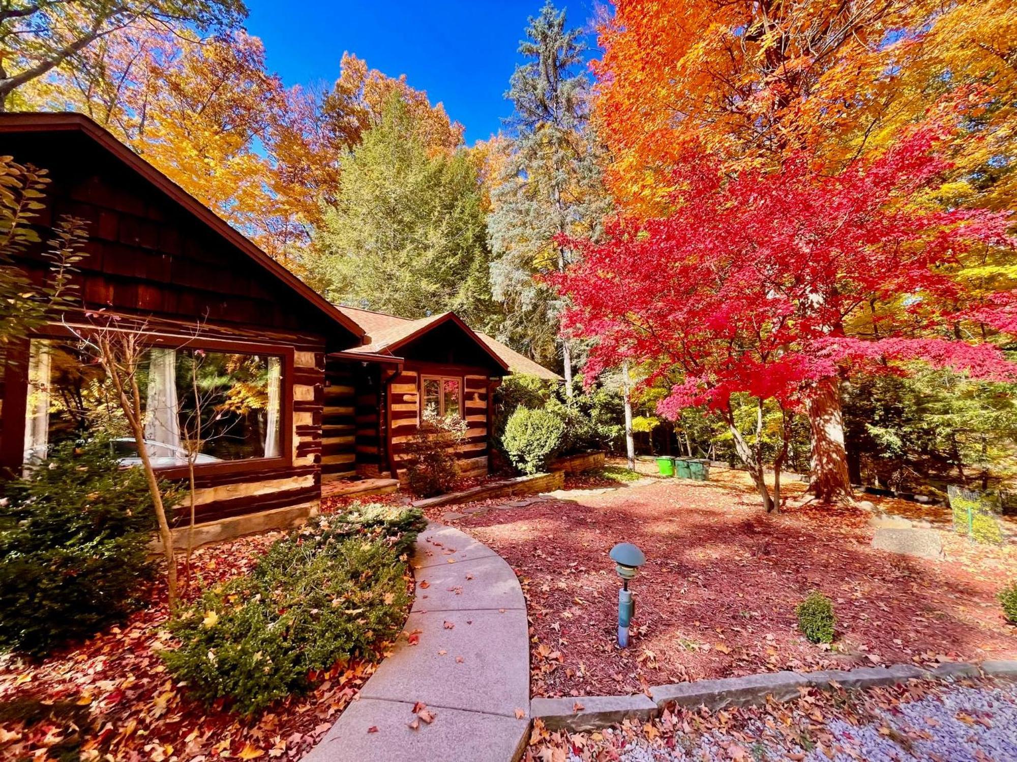 Log Cabin - Natures Oasis - Fire Pit & Gazebo Кливленд Экстерьер фото